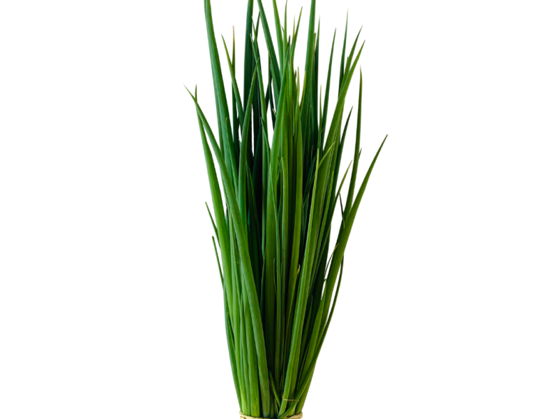 Cebolinha
